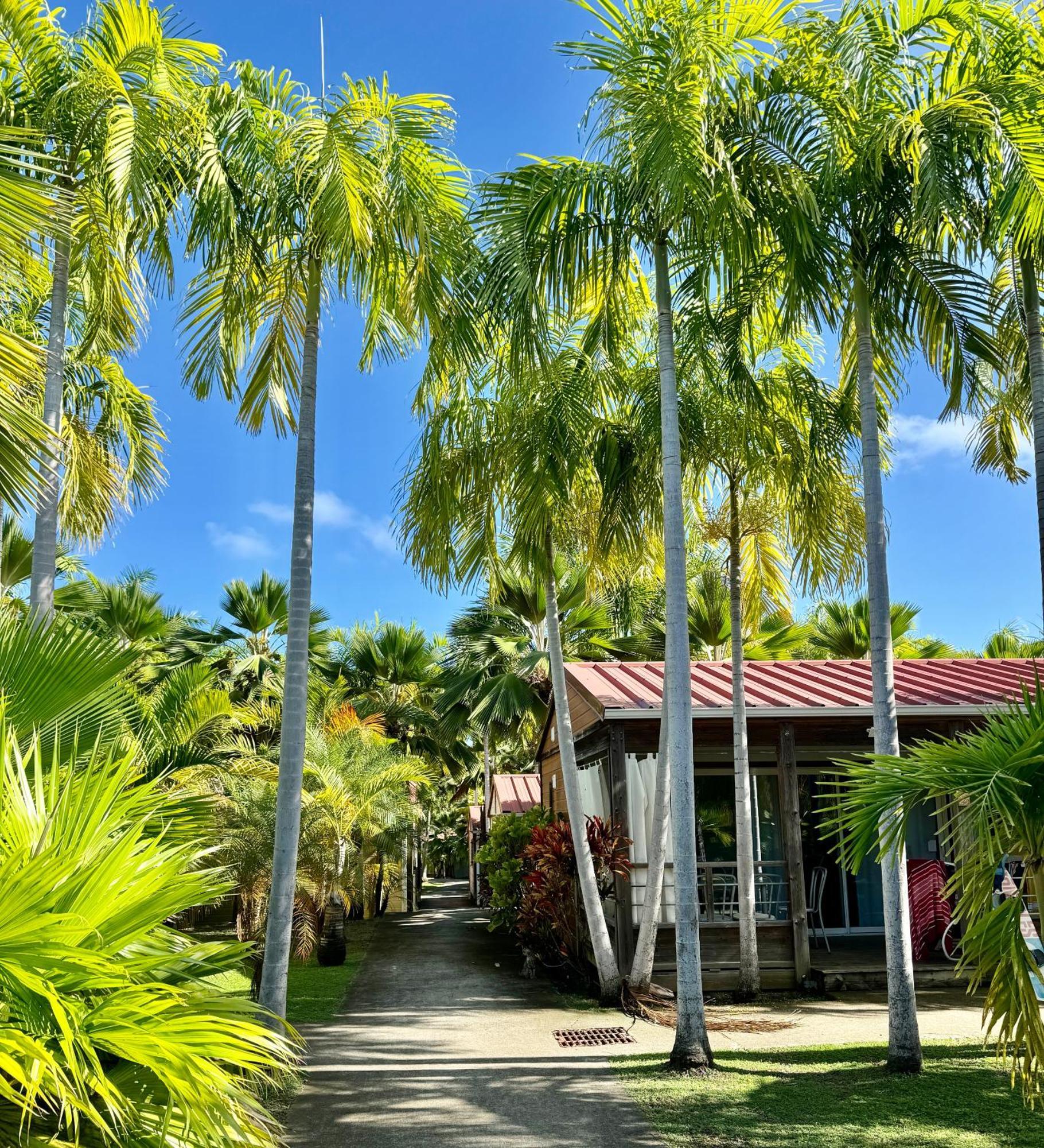 Le Village De La Pointe Ле Вауклин Екстериор снимка