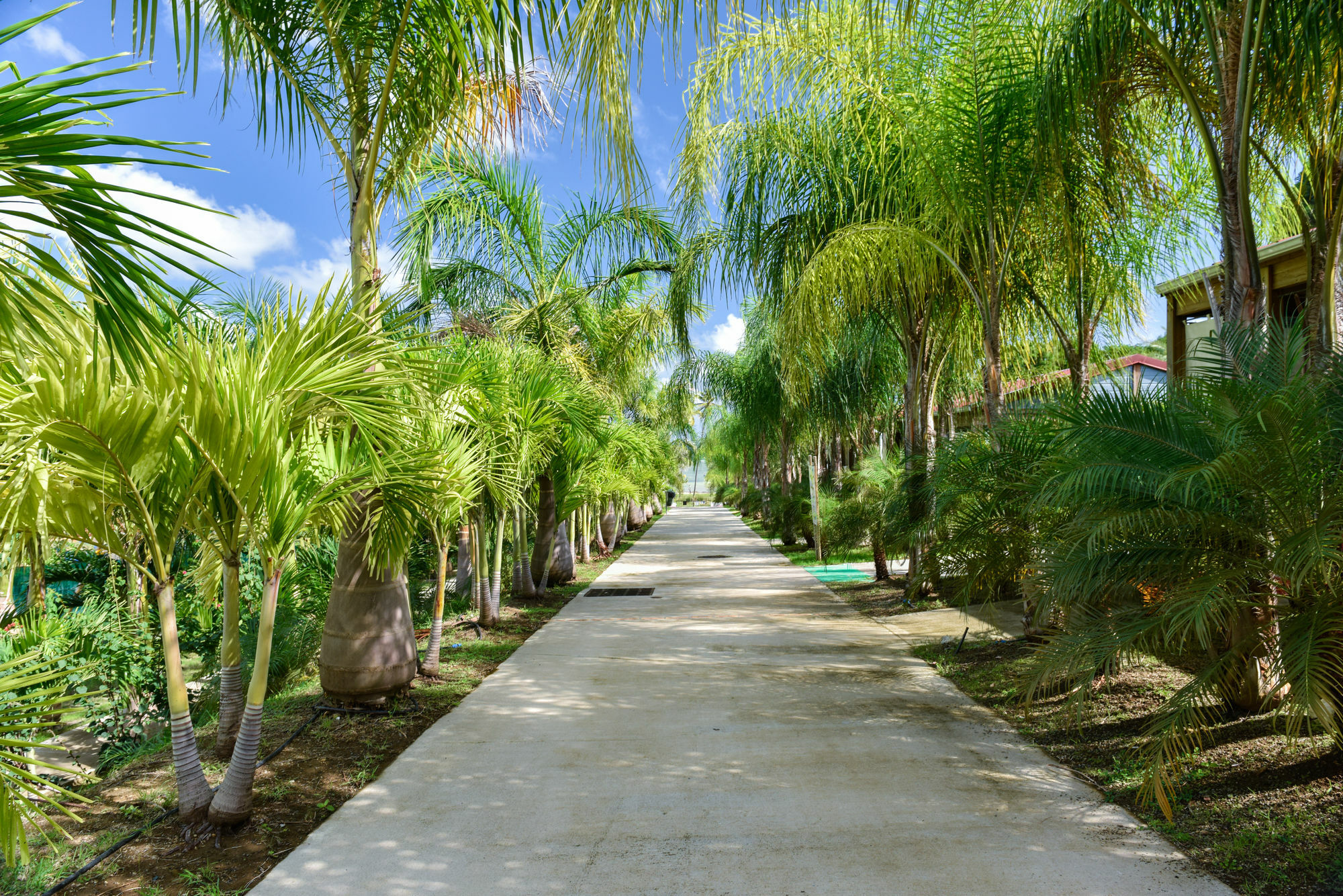 Le Village De La Pointe Ле Вауклин Екстериор снимка